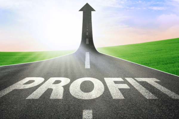 Maximize Your Profits